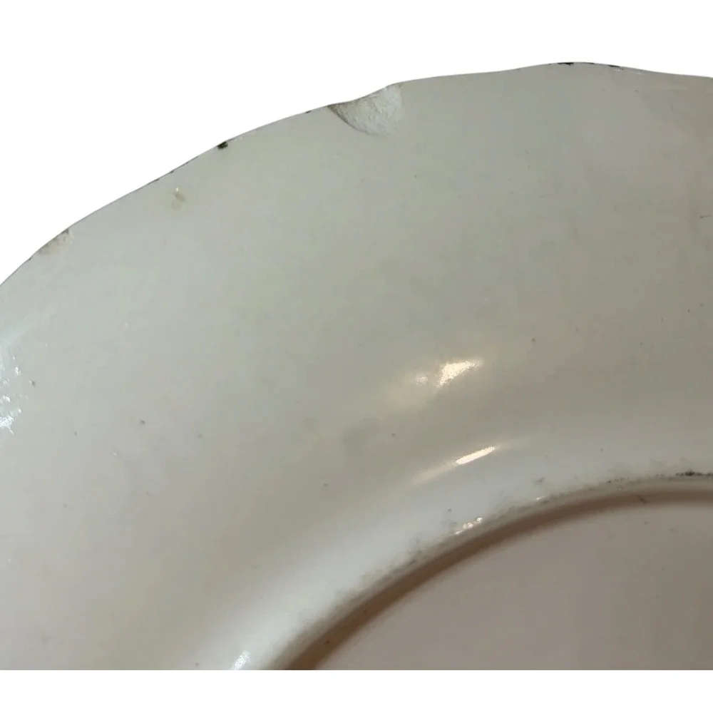 Blue Ridge Pottery Hand‎ Painted Plum Salad Plate 8